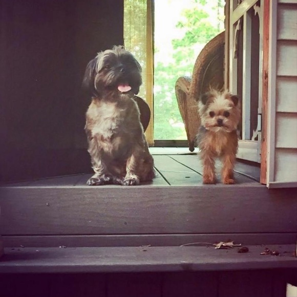 Meet your posher, Resa! - Picture 8 of 11